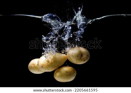 Bunch of fresh potatoes dropped in a transparent water tank with splashes on black.