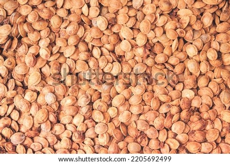 Apricot kernels background. Minimal fruit concept with kernels. A heap of apricot pits, apricot kernels oil. Organic fruit wallpaper. Organic fruit seeds. Flat lay. Healty food. Royalty-Free Stock Photo #2205692499