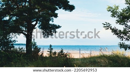 View of the seashore due to coastal vegetation