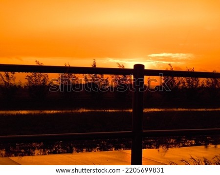 A beautiful silhouetted sunset picture 
