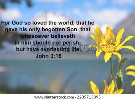 John 3:16 Bible verse with yellow flowers in the right side of the picture.