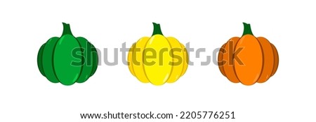 Autumn pumpkins are green, yellow and orange. Vector set.