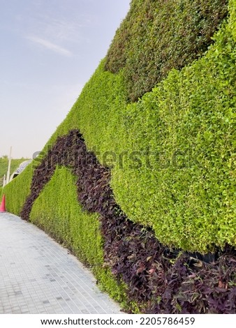 Walking path in Park in Doha Qatar