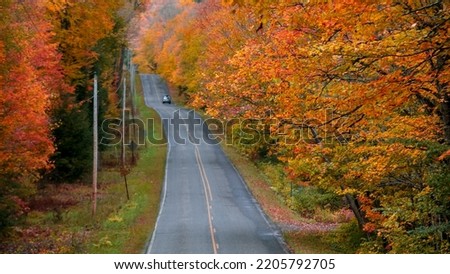 Bright autumn trees along scenic byway in Black river national forest in Michigan upper peninsula, selective focus. Royalty-Free Stock Photo #2205792705