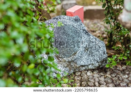 A hidden weatherproof rock speaker blending into an outdoor landscaped garden.