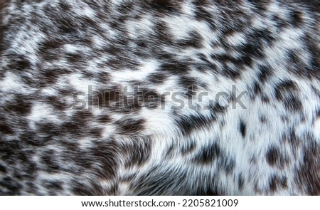 Beautiful spotted fur close-up. Texture of brown animal wool. Dog fur. Royalty-Free Stock Photo #2205821009