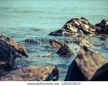 photo of a rock in the sea