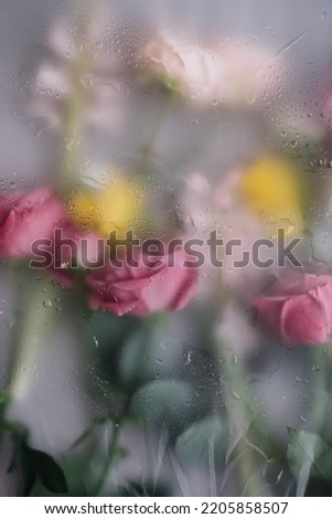 Beautiful pink rose, hyacinths, ranunculus flowers being photographed behind wet window, close up vertical view