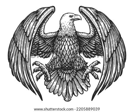 Eagle with spread wings. Royal symbol. Hand drawn sketch in vintage engraving style. Vector illustration Royalty-Free Stock Photo #2205889039