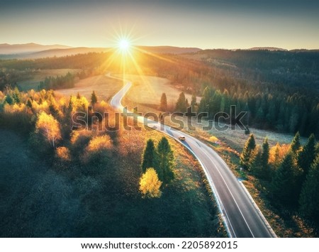 Aerial view of mountain road in autumn forest at sunset in Ukraine. Top view from drone of road in woods. Beautiful landscape with roadway in hills, yellow trees, meadows, golden sunlight in fall Royalty-Free Stock Photo #2205892015