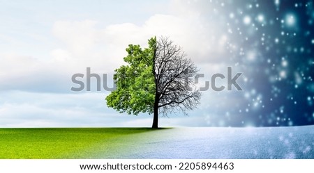 Season change from winter to summer Royalty-Free Stock Photo #2205894463