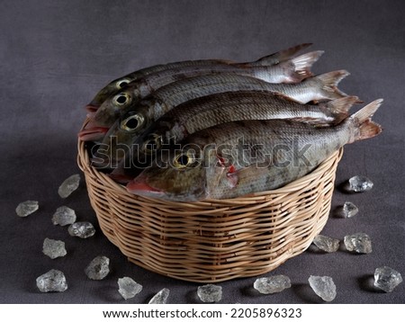 Fresh "Belacung" Fish in rattan basket with ice shards on dark grey background. Lethrinus. Lethrinus Rubrioperculatus. Lethrinus Onartus. Lethrinus Olivaceus. Raw Food. Protein. Aceh. Indonesia. Royalty-Free Stock Photo #2205896323