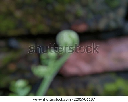 Blurred image of weed leaves and flowers