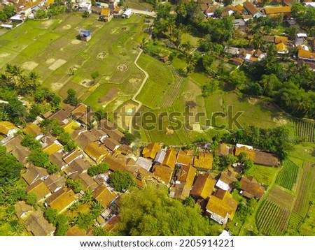 Abstract Defocused Blur Aerial photo of vast rice fields surrounding a residential area in Cikancung - Indonesia. Not Focus
