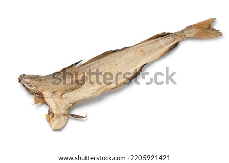 Single stockfish,  Atlantic cod, close up isolated  on white background