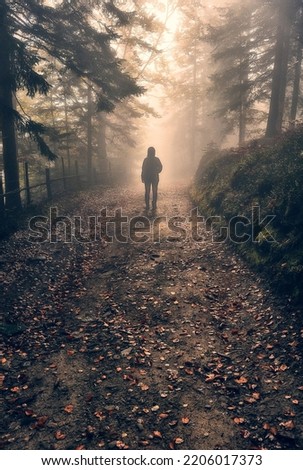 woman in the woods. tourist walking in the misty autumn forest