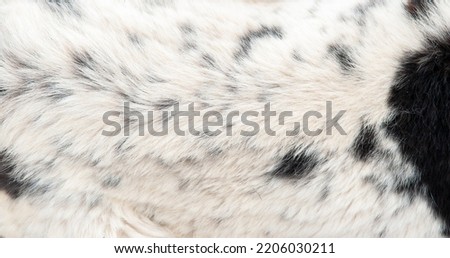 Beautiful spotted fur close-up. Texture of brown animal wool. Dog fur. Royalty-Free Stock Photo #2206030211