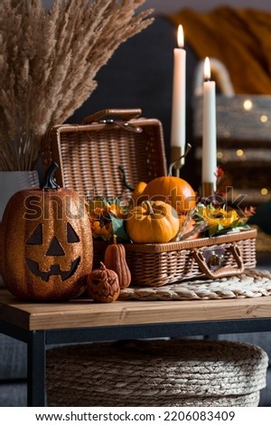 A wicker basket with pumpkins, Jack's Pumpkin and candles in the interior of the living room on a wooden table. The concept of home comfort. Autumn decor for Halloween. Royalty-Free Stock Photo #2206083409