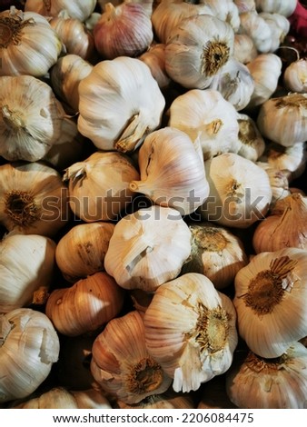 Piles of garlic that sold in traditional market. Garlic is a species of bulbous flowering plant in the genus Allium. Garlic is great for treating nervous problems, cleansing digestion and boosting the