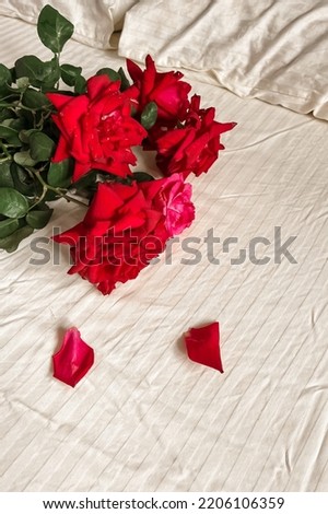 A bouquet of scarlet roses and petals lie on the light satin bed linen, a minimalist greeting card with a good morning with a copy place.