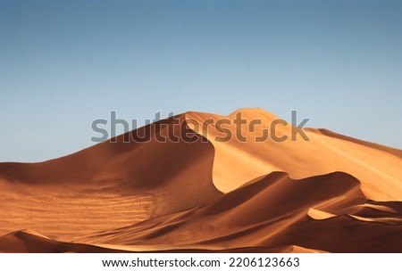 beautiful dune in golden light at sossuvlei national park in Namibia Royalty-Free Stock Photo #2206123663