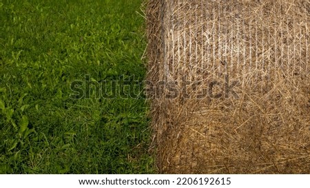 A bale of hay in a field on fresh green grass. Background picture. Space for printing text.