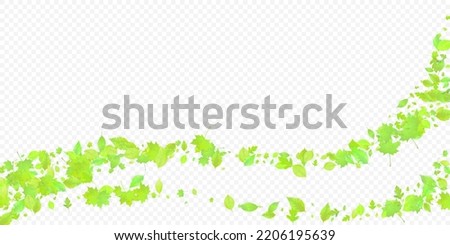 Leaves Falling. Spring Flying Foliage. Chaotic Green Leaf Flying On Transparent Background. Forest Design, Nature Elements. Ecology Vector Illustration. Environment Backdrop.