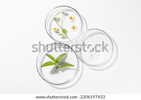 Petri dishes with different plants and cosmetic product on white background, top view Royalty-Free Stock Photo #2206197433