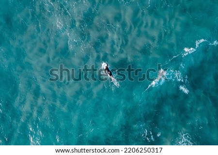 Surfer from the air in Bondi