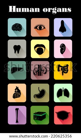 Vector icons of human organs Flat design