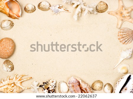 Seashells and starfish on sand background frame