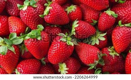 closeup picture of strawberries. strawberry fruit. 