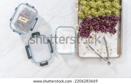 Day 6. Flat lay. Packaging freshly harvested organic sprouts into a glass container lined with paper towels. Royalty-Free Stock Photo #2206283669