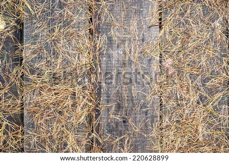 old wooden planks covered with autumn leaves