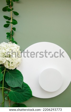 White round template mockup for natural organic cosmetic product presentation ad concept on green eco forest fresh leaves hydrangea flatlay background, trendy stylish minimalist flatlay mock up