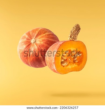 Fresh raw Pumpkin falling in the air isolated on yellow background. Food levitation zero gravity conception. High resolution image.