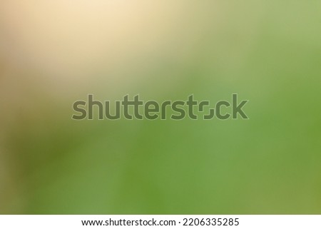 Color gradient, green and beige, color fusion for backgrounds