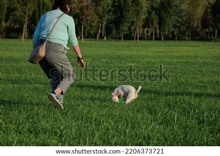 Brunette woman walking her dog in a city park on a summer day