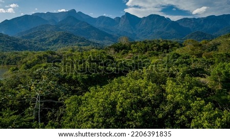 The exuberant Atlantic Forest within the protected area of the Guapiaçu Ecological Reserve, in the metropolitan region of Rio de Janeiro. Royalty-Free Stock Photo #2206391835