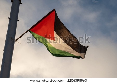 Palestine Flag Flying on a Pole Isolated at Dawn