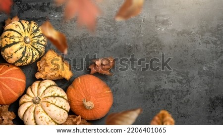A seasonal rustic thanksgiving fall background with pumpkins and falliing leaves. Autumn halloween season layout.