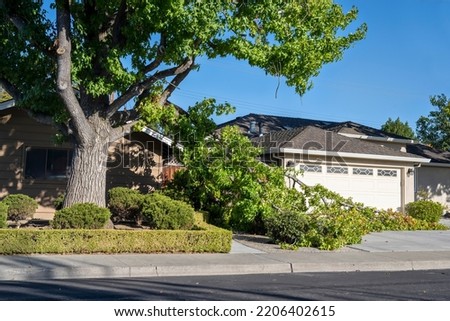 Dangerous fallen tree branch in residential neighborhood.  Causes can include a storm, hot dry environment, or that the branch extends further than the trunk can support and should have been trimmed Royalty-Free Stock Photo #2206402615