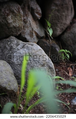 photo of stones for foundations that have been overgrown with moss