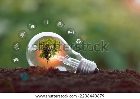 alternative energy, Renewable Energy, saving energy, electricity light lamp from solar and finance, finance banking growth, energy stock investment, tree growing up on coin and lightbulb on soil Royalty-Free Stock Photo #2206440679