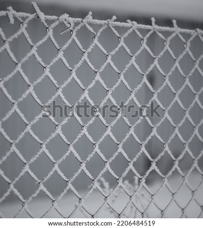 White snowflakes on a metal fence. Close-up