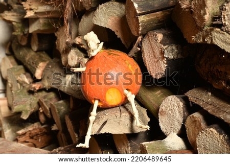 Pumpkin, evil spirit, horse-headed, jack-o'-lantern, sits on wood.