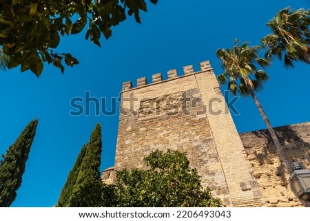Facade of the fortified Alcazar of Almohad origin, population of Jerez de la Frontera in Cadiz, Andalusia