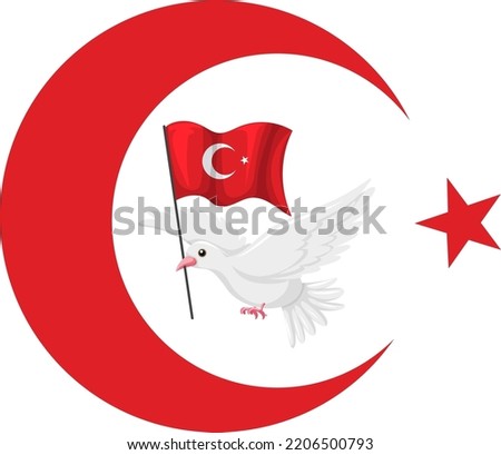 Flag of Turkey with crescent moon and star illustration