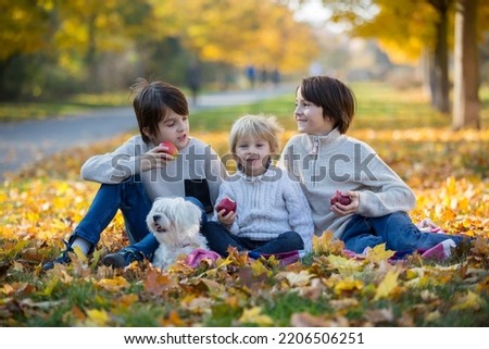 Happy children, playing with pet dog in autumn park on a sunny day, foliage and leaves all around them