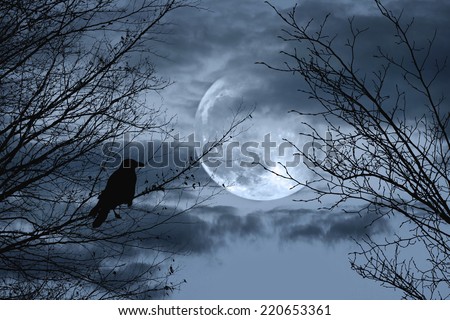 Halloween background with  spooky forest and full moon